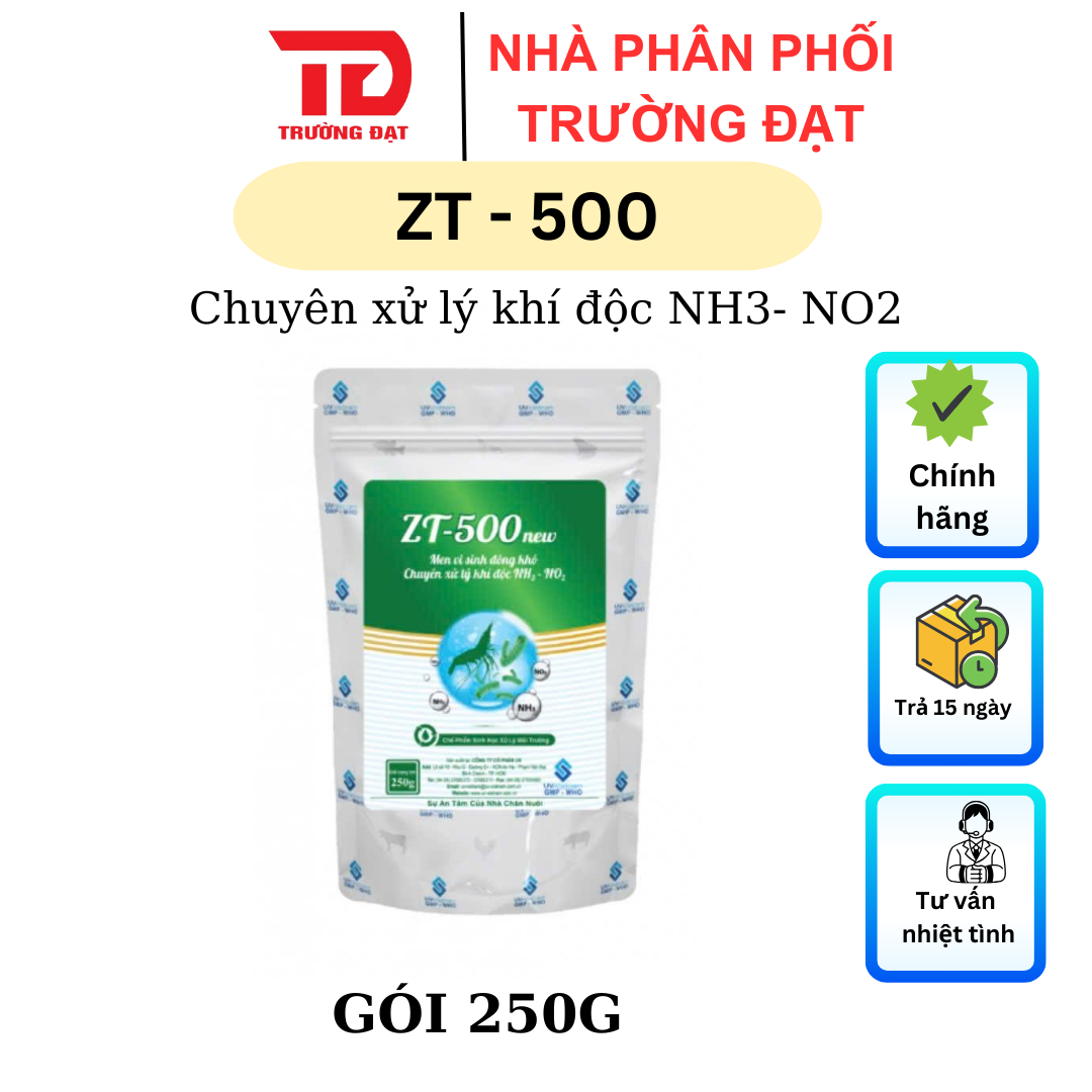 ZT 500 - Ảnh 3