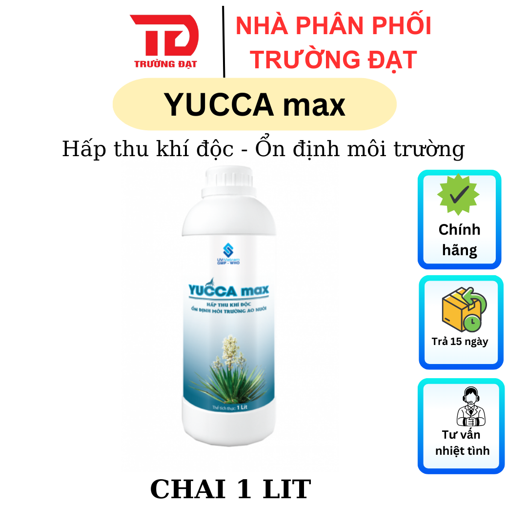 YUCCA MAX - Ảnh 2