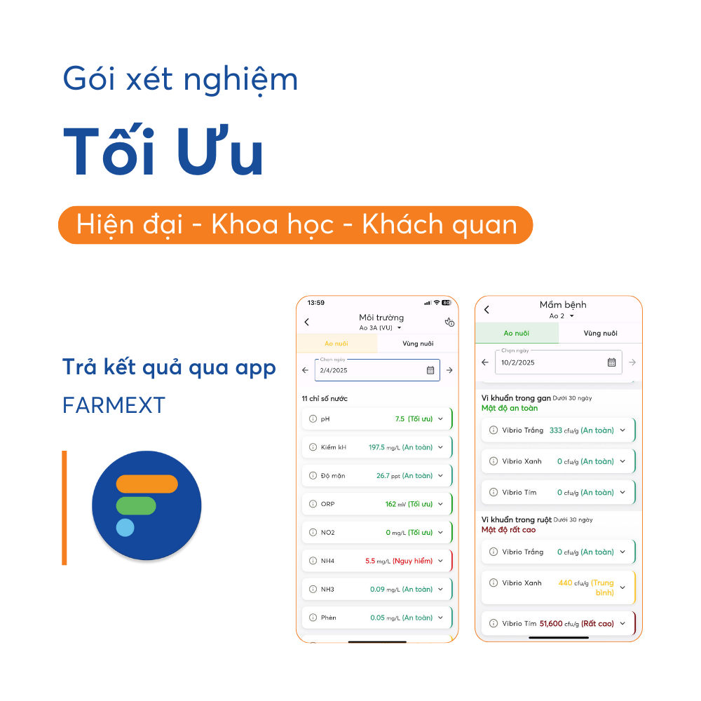 Gói tối ưu - Ảnh 6