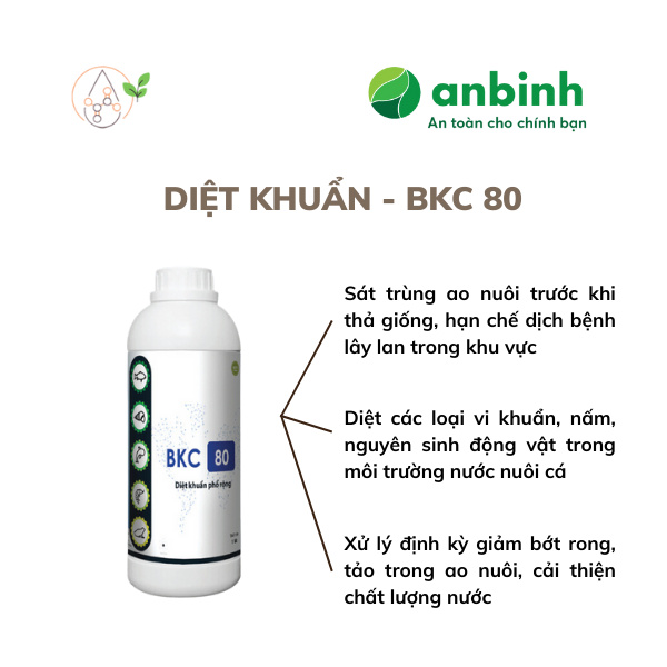 BKC 80 - Ảnh 4
