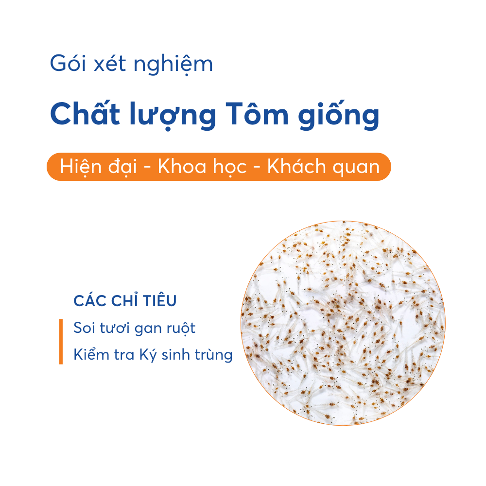 Gói tôm giống - Ảnh 3