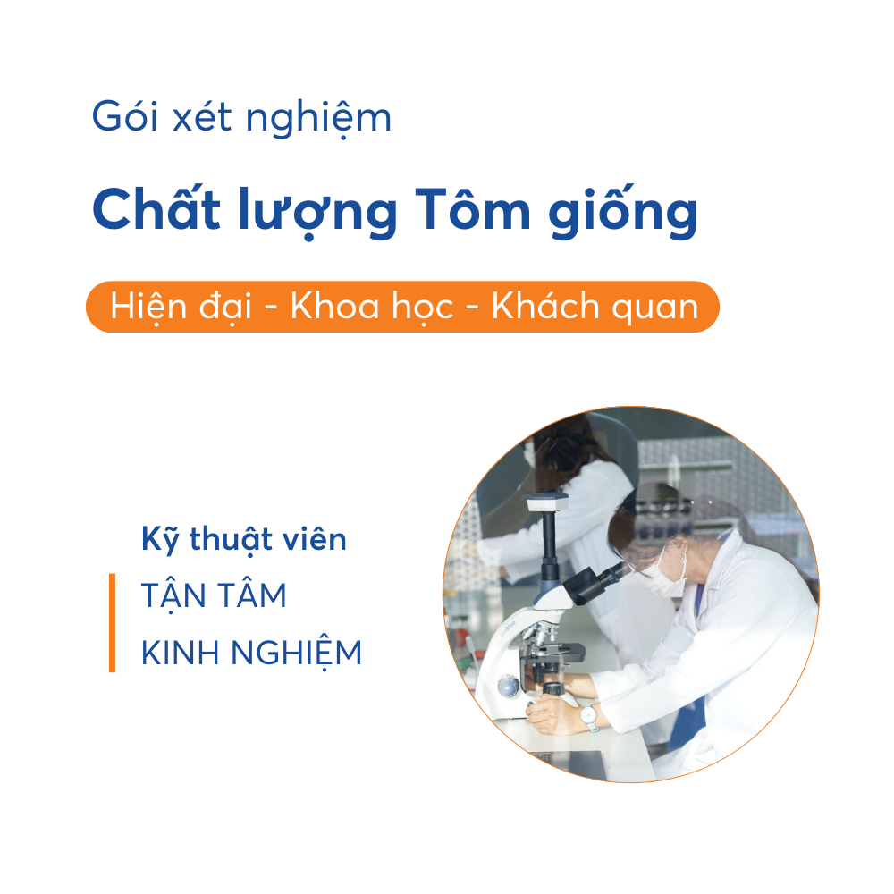 Gói tôm giống - Ảnh 4