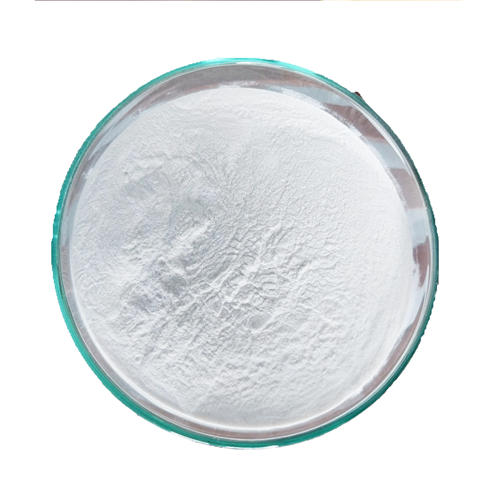 Bacillus Coagulans - Ảnh 2