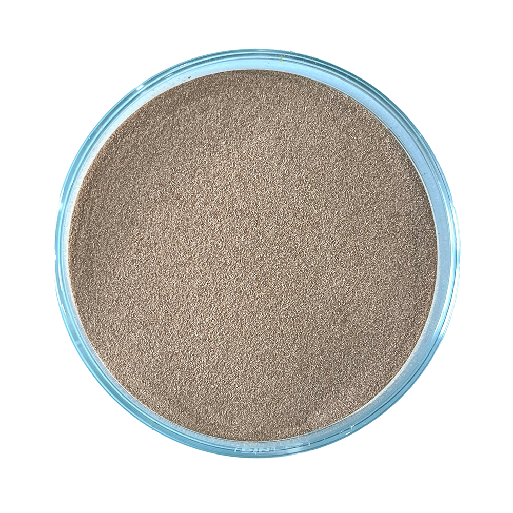 Bacillus Licheniformis - Ảnh 3