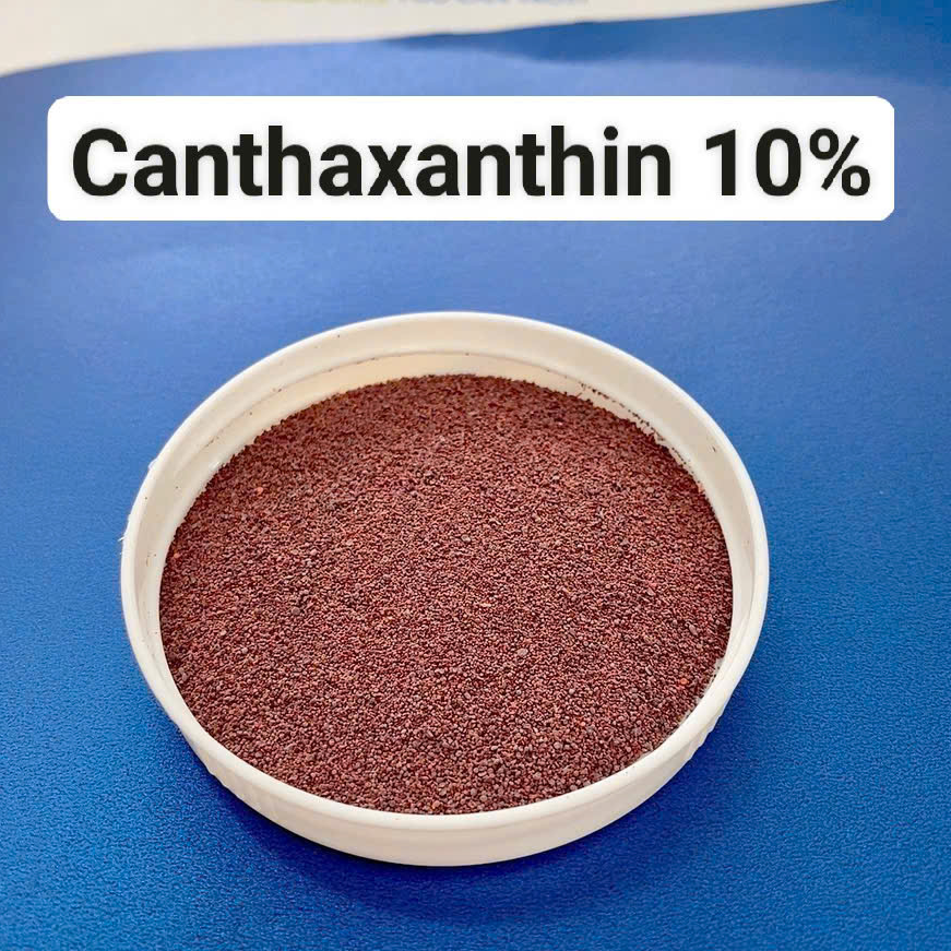Sắc tố Canthaxanthin - Ảnh 2