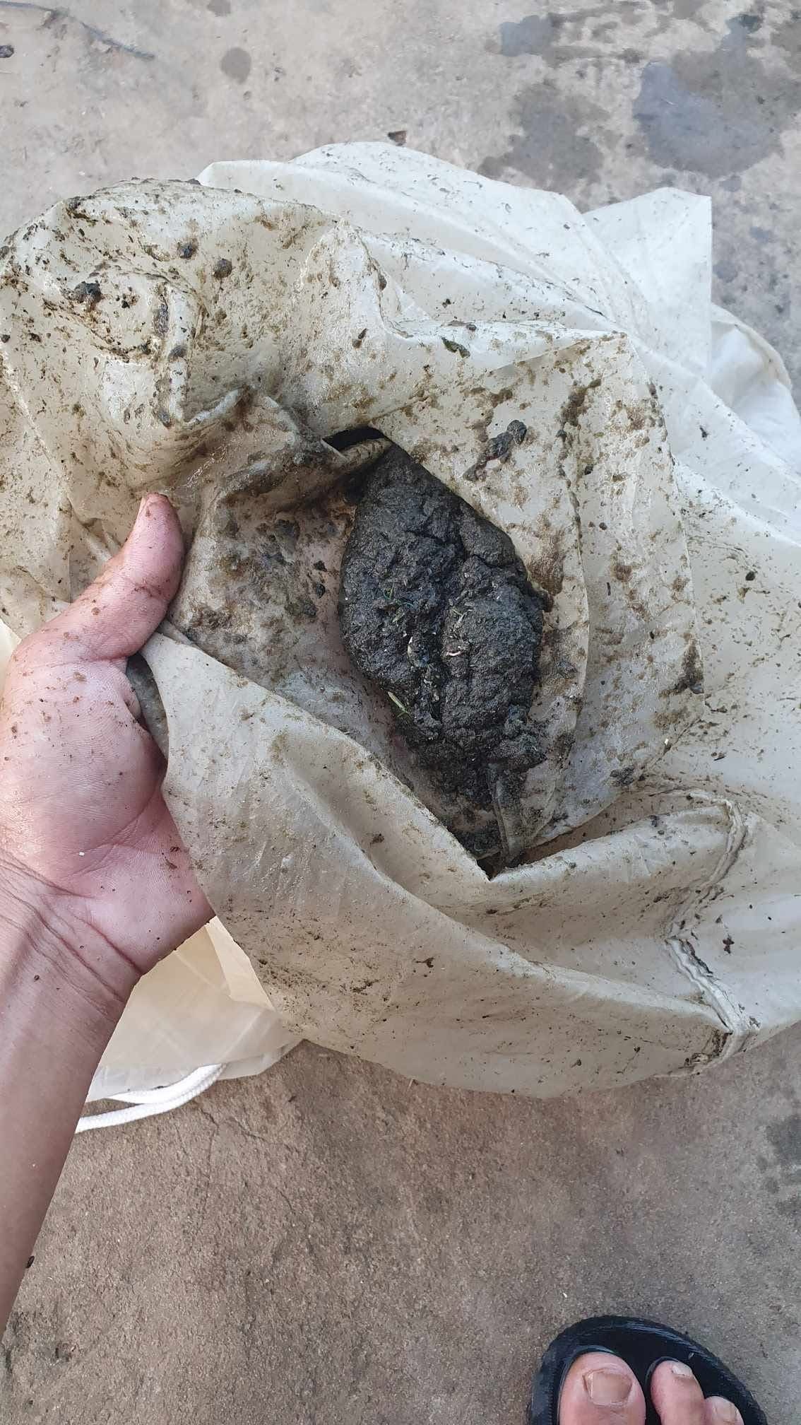 Túi lọc ao bạt và ao đất - Ảnh 3