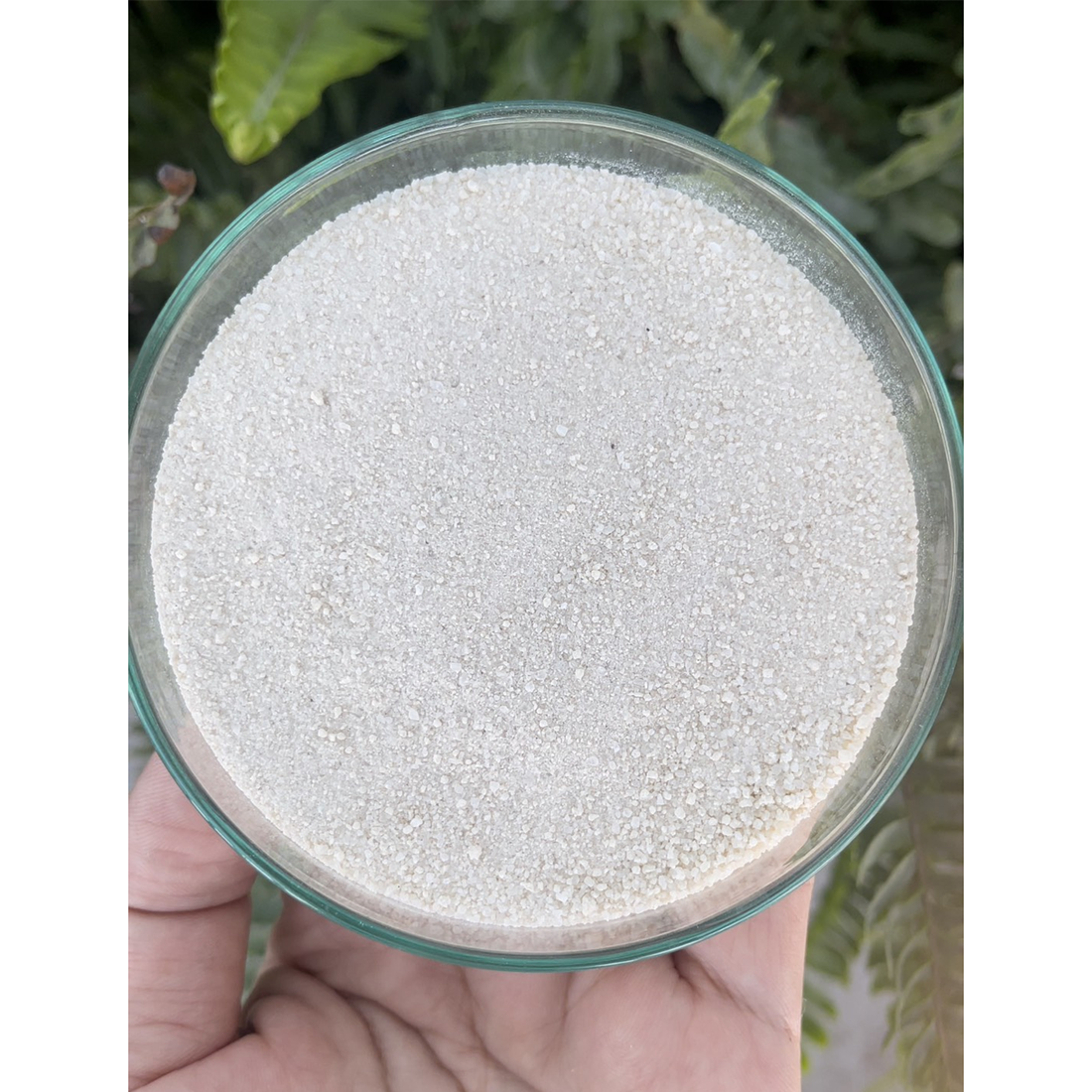 MICROBATE L - Ảnh 2