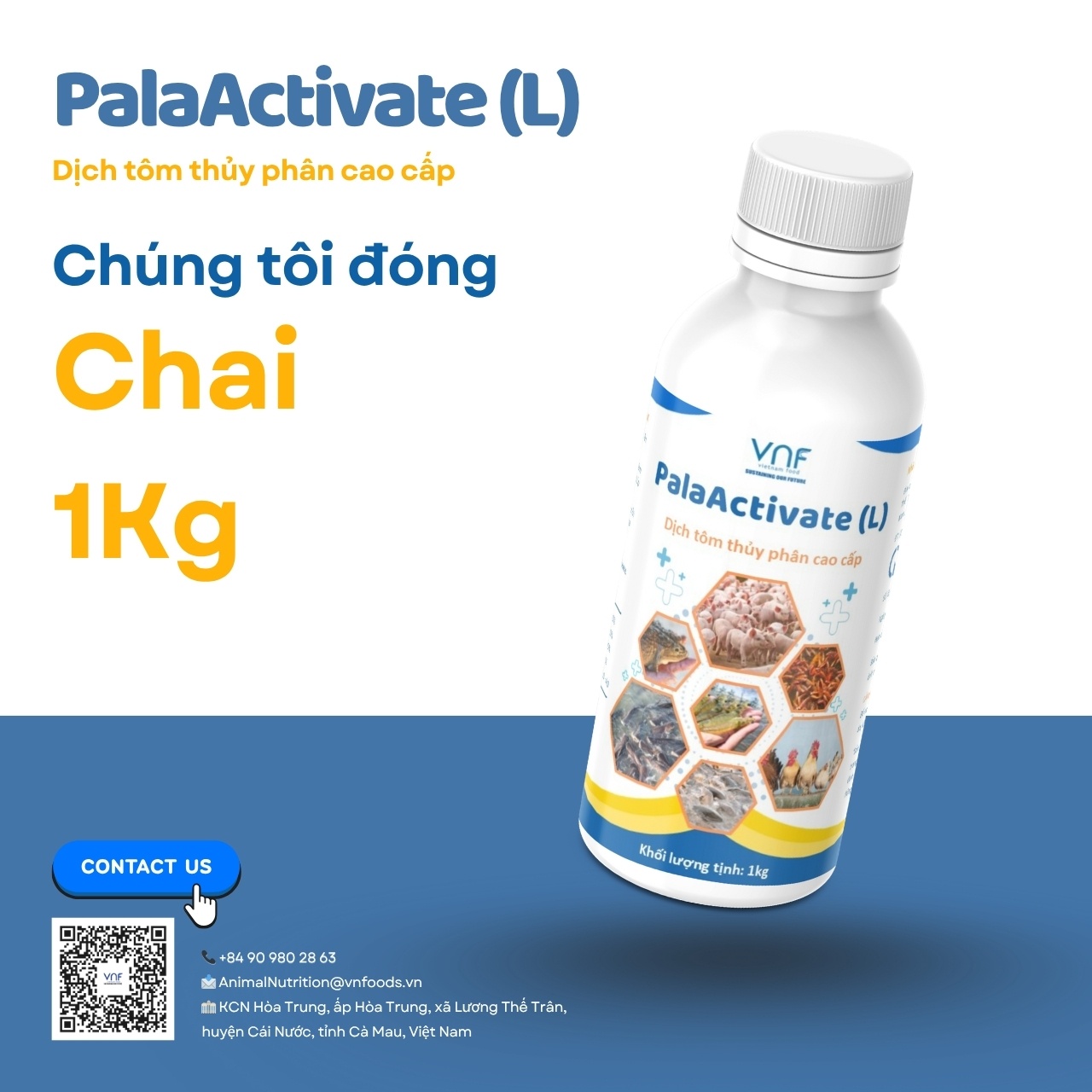 PalaActivate (L) - Ảnh 4