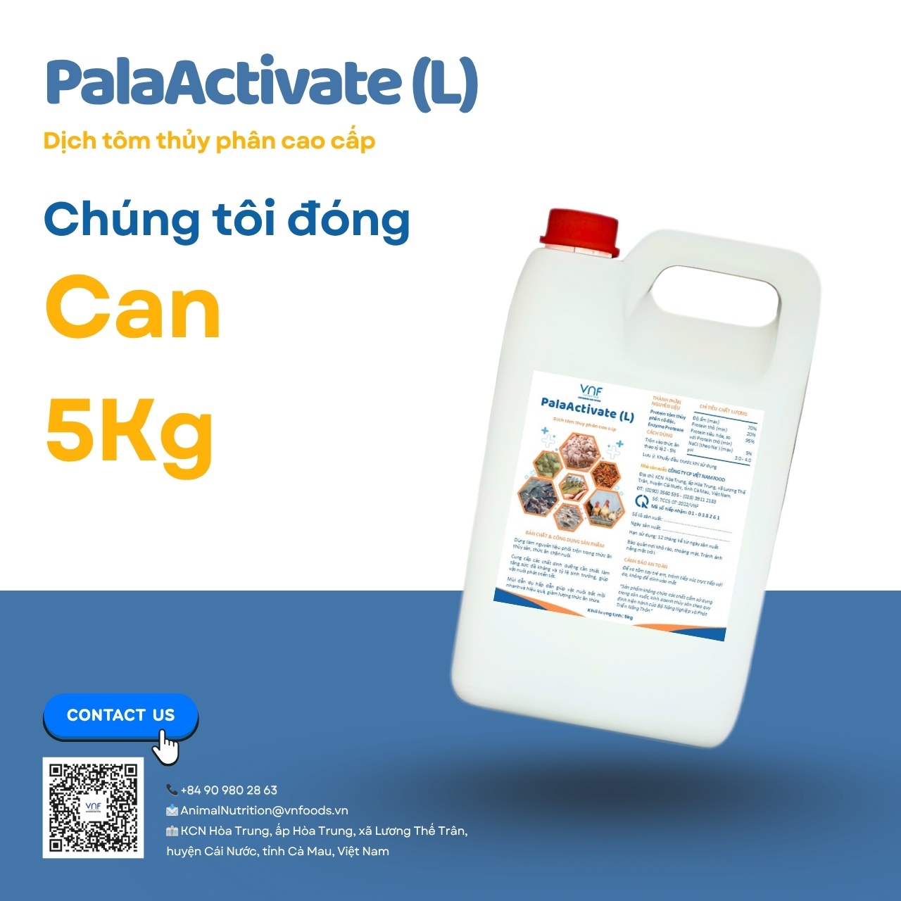 PalaActivate (L) - Ảnh 2
