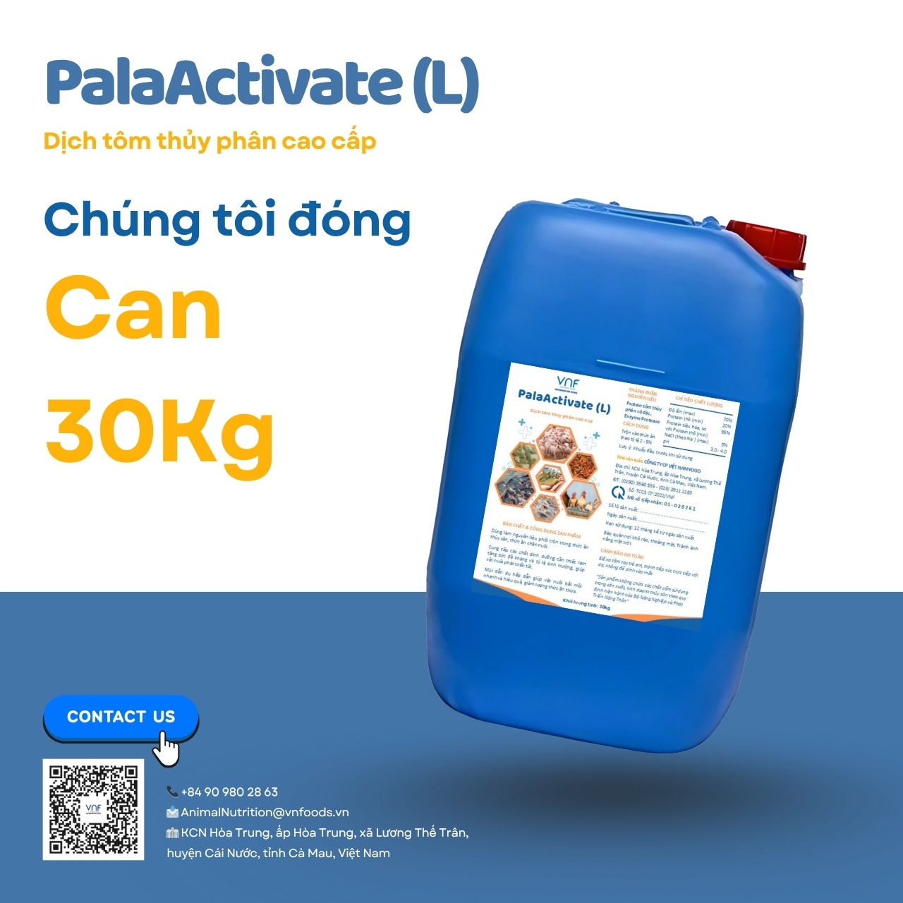 PalaActivate (L) - Ảnh 3