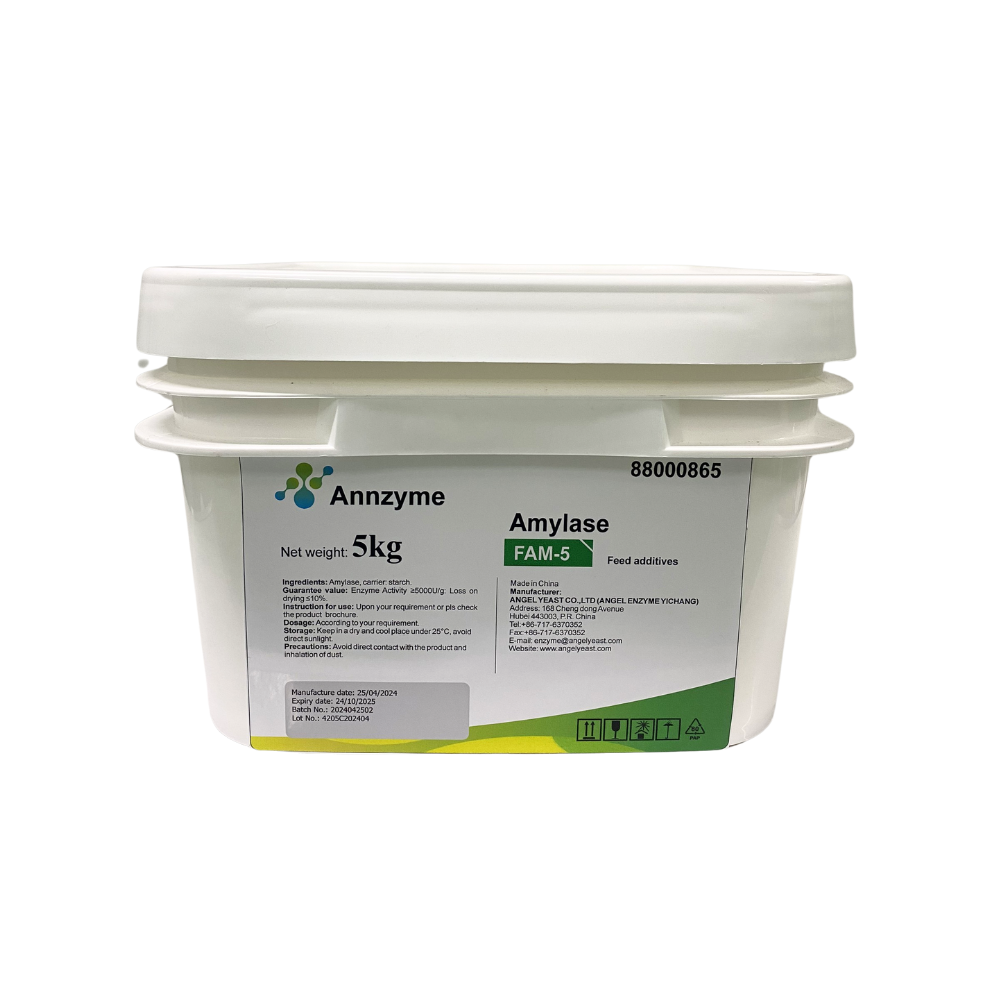Enzyme Amylase - Ảnh 3