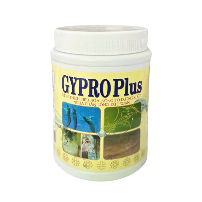 Gypro Plus - Ảnh 3
