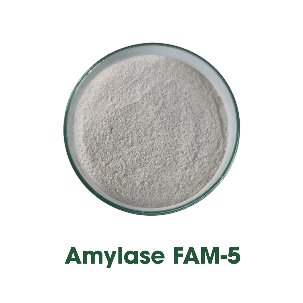 Enzyme Amylase - Ảnh 4