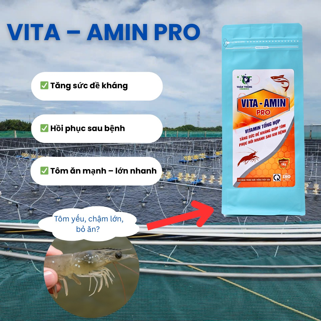 VITA-AMIN TỔNG HỢP - Tăng đề kháng, phòng bệnh, hỗ trợ tiêu hóa tôm, thúc đẩy tăng trưởng và nâng cao năng suất nuôi tôm. - Ảnh 2