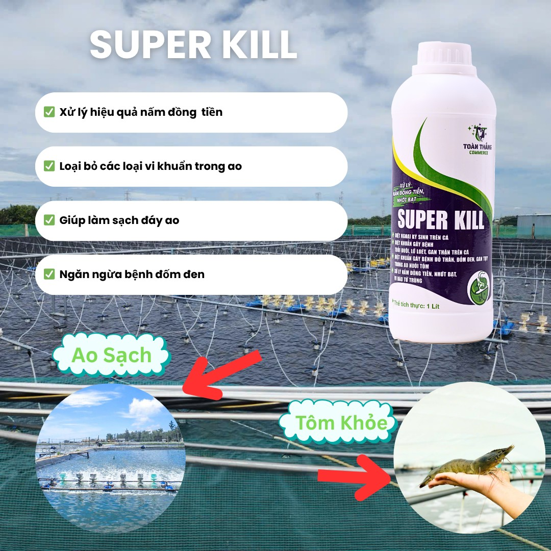 SUPER KILL - CHUYÊN DIỆT NẤM ĐỒNG TIỀN TRONG AO TÔM - Ảnh 2