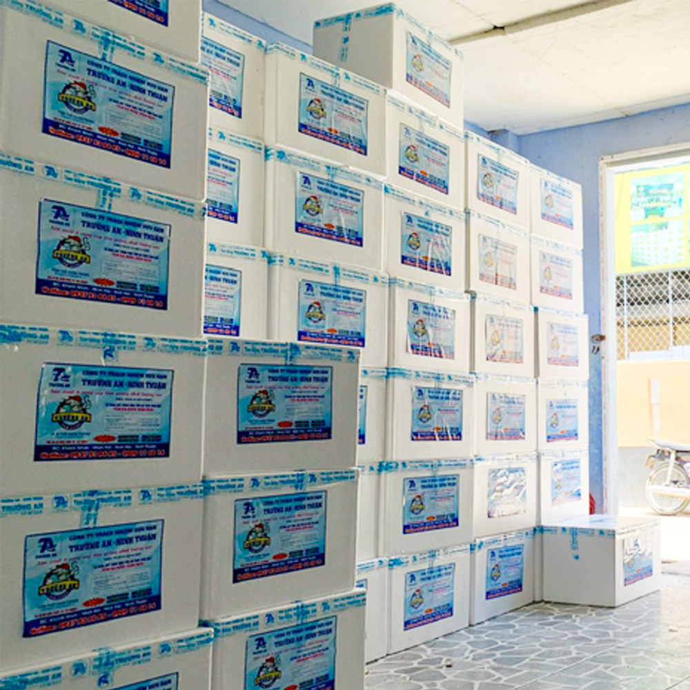 Giống tôm thẻ - Ảnh 2