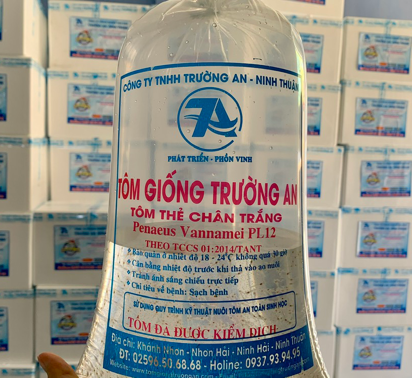 Giống tôm thẻ - Ảnh 3