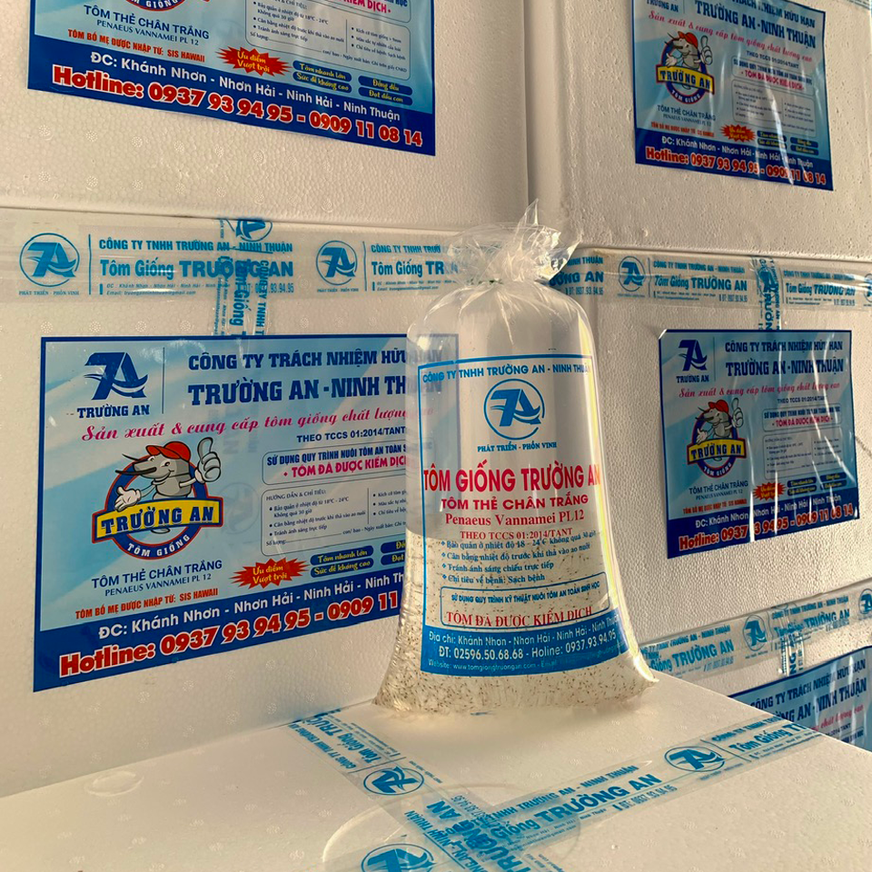Giống tôm thẻ - Ảnh 4