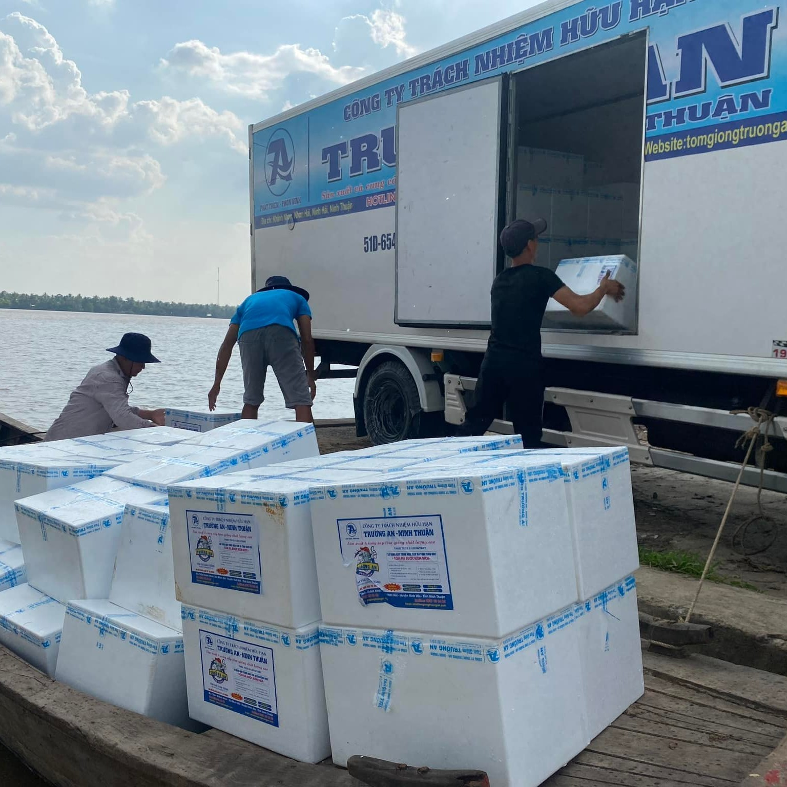 Giống tôm thẻ - Ảnh 6