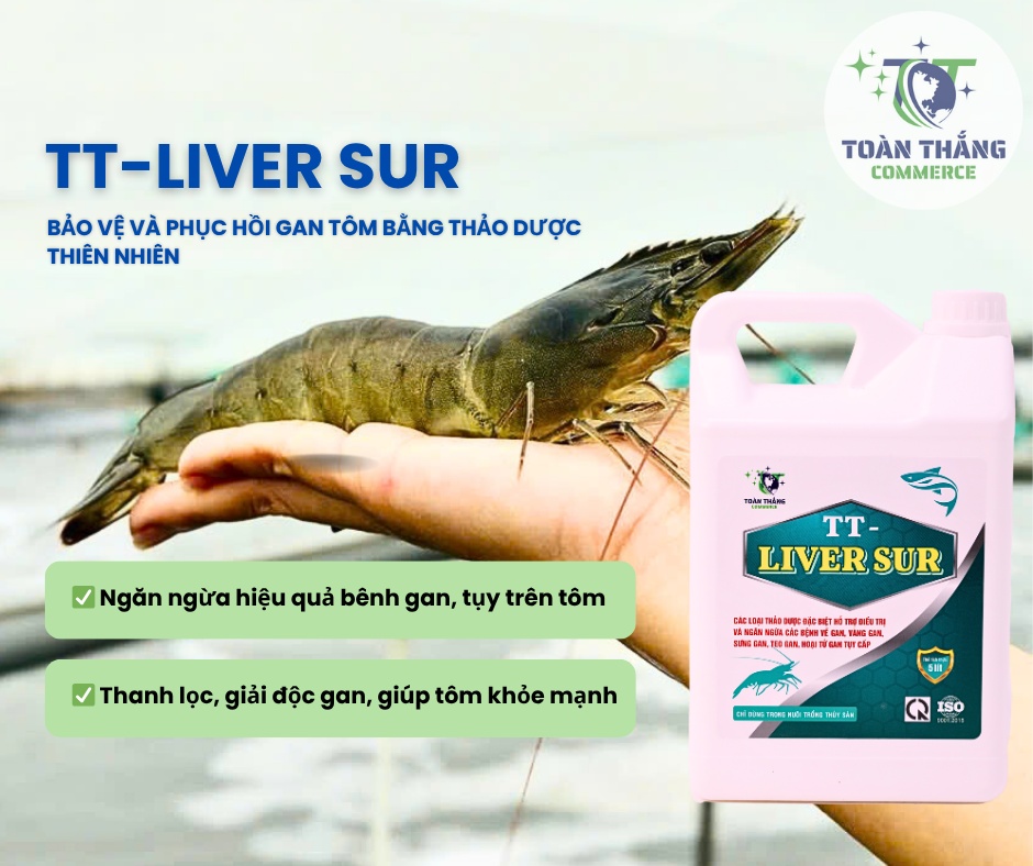 TT-LIVER SUR TT-LIVER SUR - THẢO DƯỢC THIÊN NHIÊN-GIẢI PHÁP SINH HỌC BẢO VỆ GAN TÔM – AN TOÀN, HIỆU QUẢ - Ảnh 2