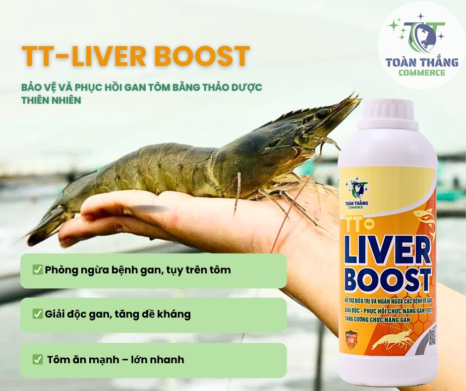 TT-LIVER BOOST THẢO DƯỢC GIẢI ĐỘC PHỤC HỒI CHỨC NĂNG GAN, TỤY, TĂNG CƯỜNG CHỨC NĂNG GAN TÔM - Ảnh 2