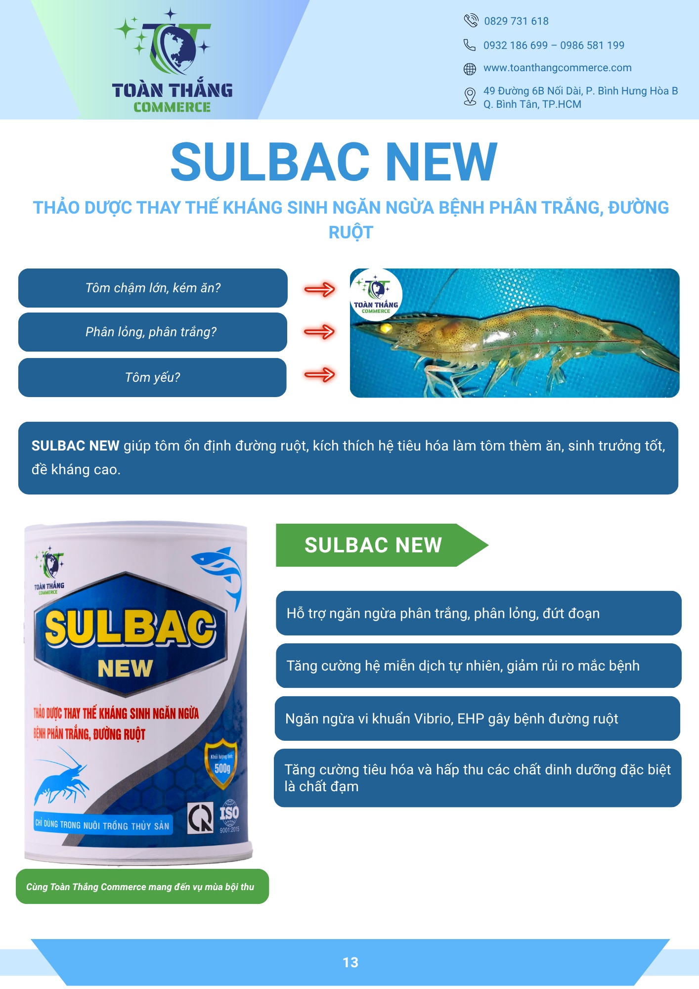 SULBAC NEW- THẢO DƯỢC THAY THẾ KHÁNG SINH NGĂN NGỪA BỆNH PHÂN TRẮNG, ĐƯỜNG RUỘT TÔM - Ảnh 2