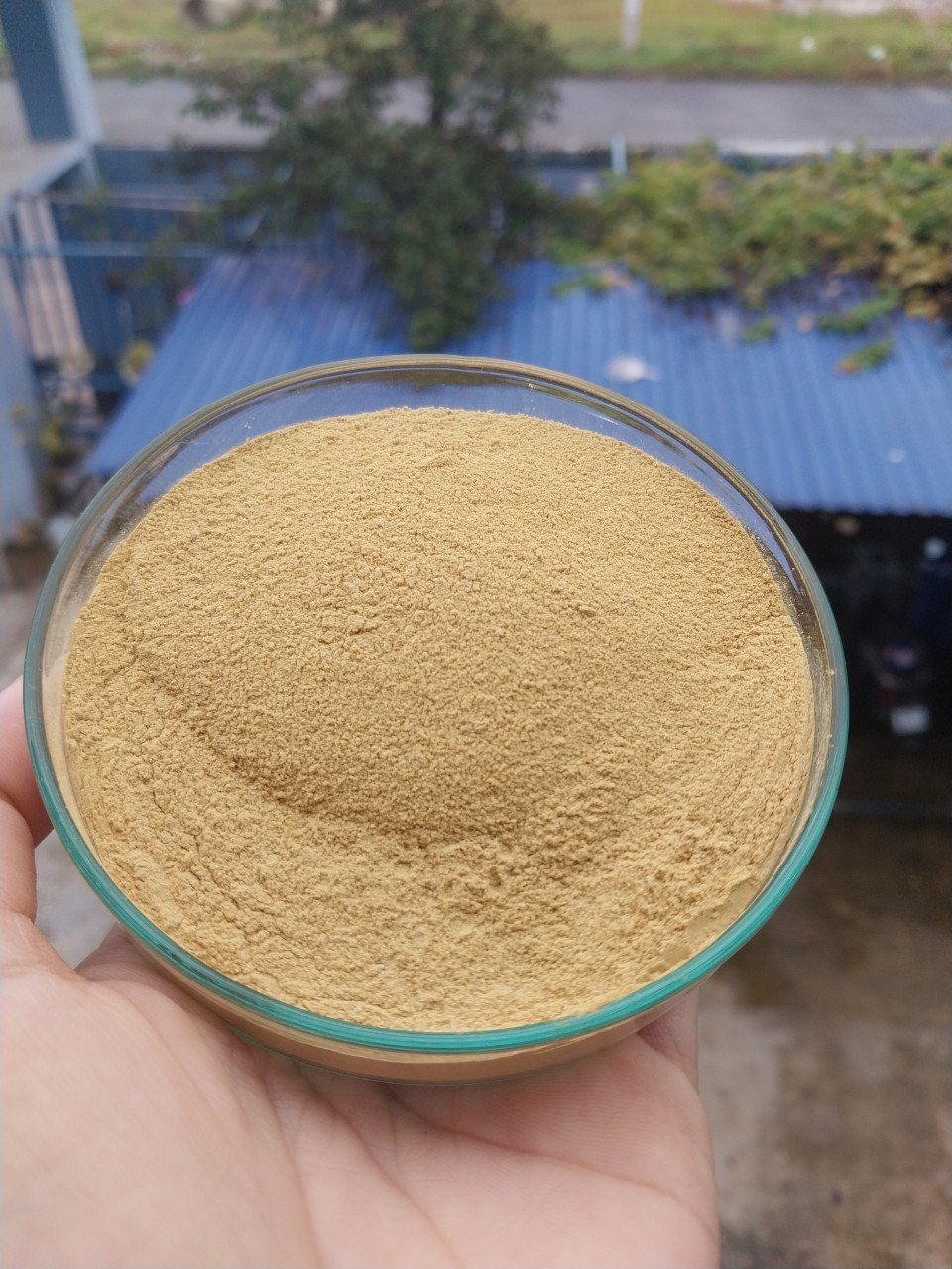 THYMOL PLUS - Kháng sinh từ thảo dược, tăng cường sức đề kháng khống chế vi khuẩn - Ảnh 2