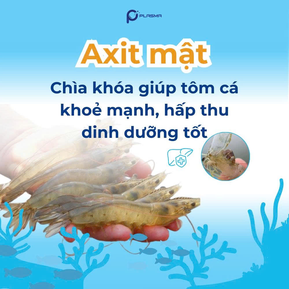 RUNEON II - Bile acid - Ảnh 5