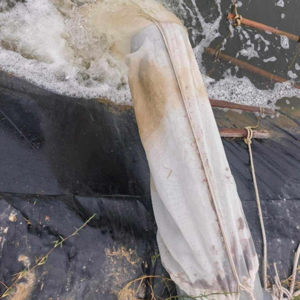 Túi lọc nước - Ảnh 2