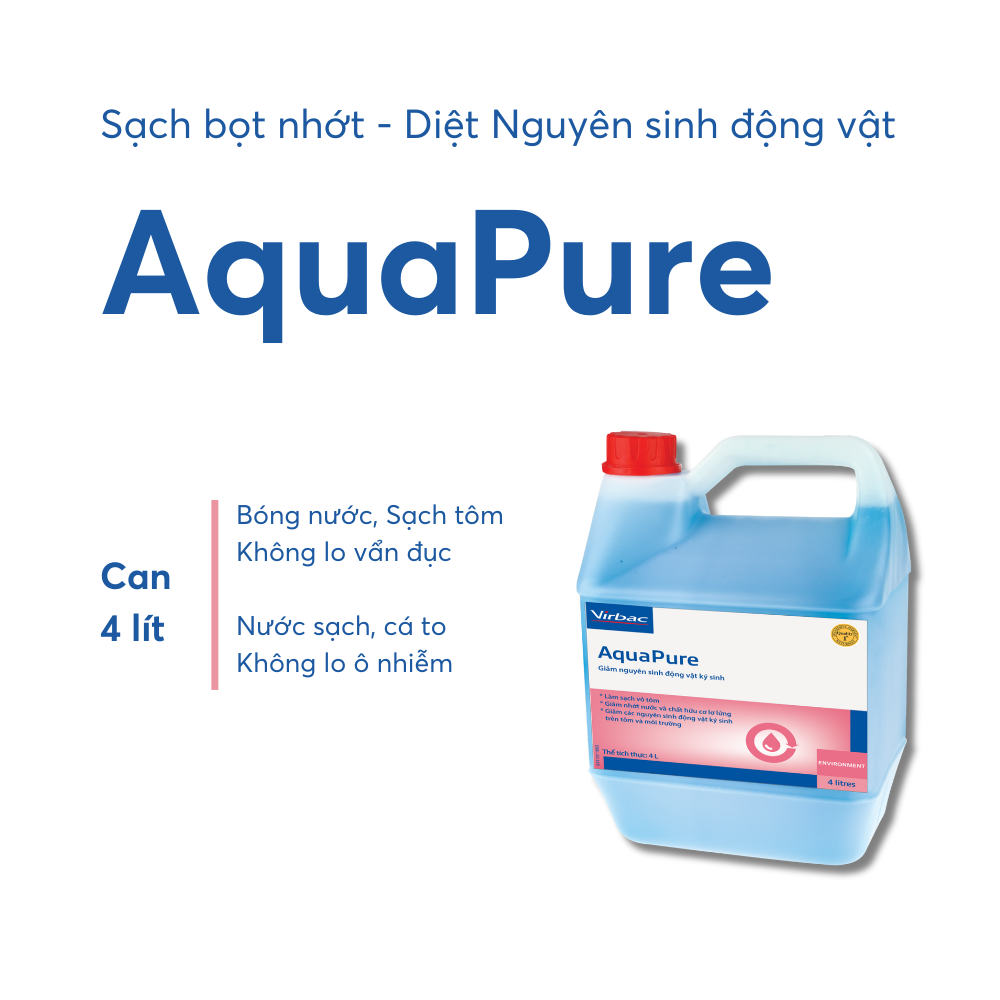 AquaPure - Ảnh 3