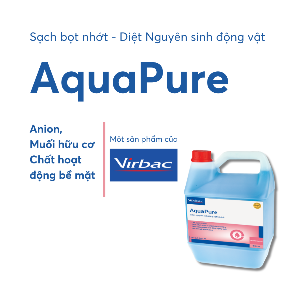 AquaPure - Ảnh 4