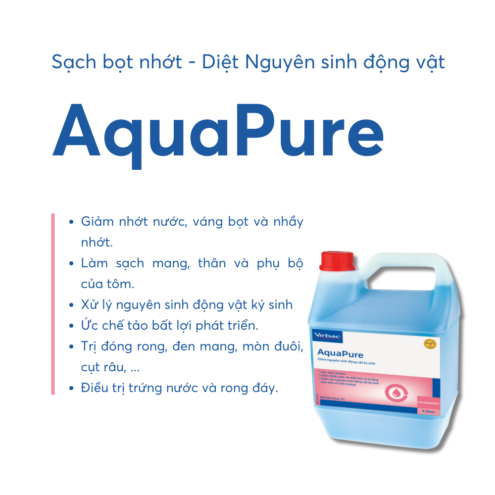 AquaPure - Ảnh 5