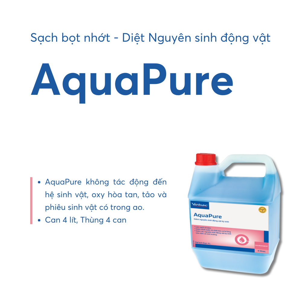 AquaPure - Ảnh 6