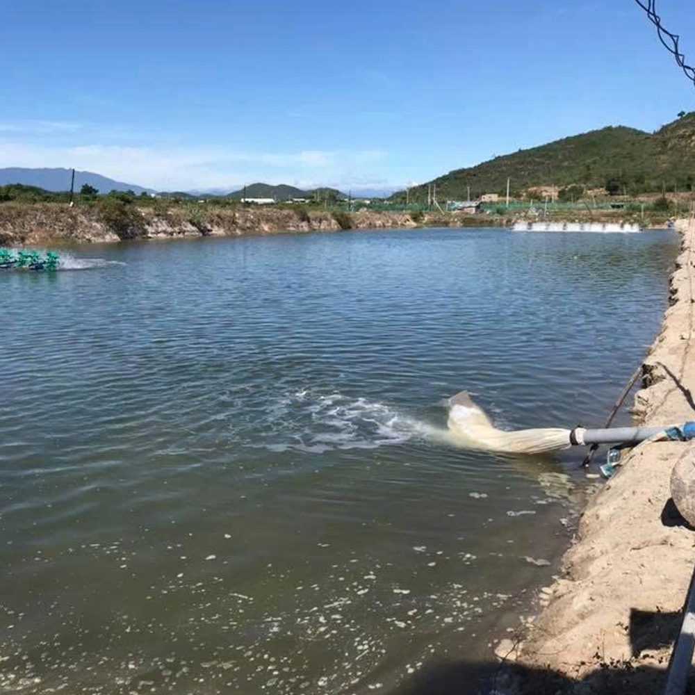 Túi lọc nước - Ảnh 3