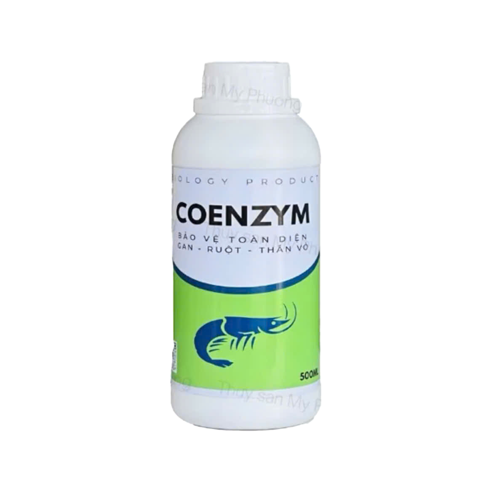 Coenzym