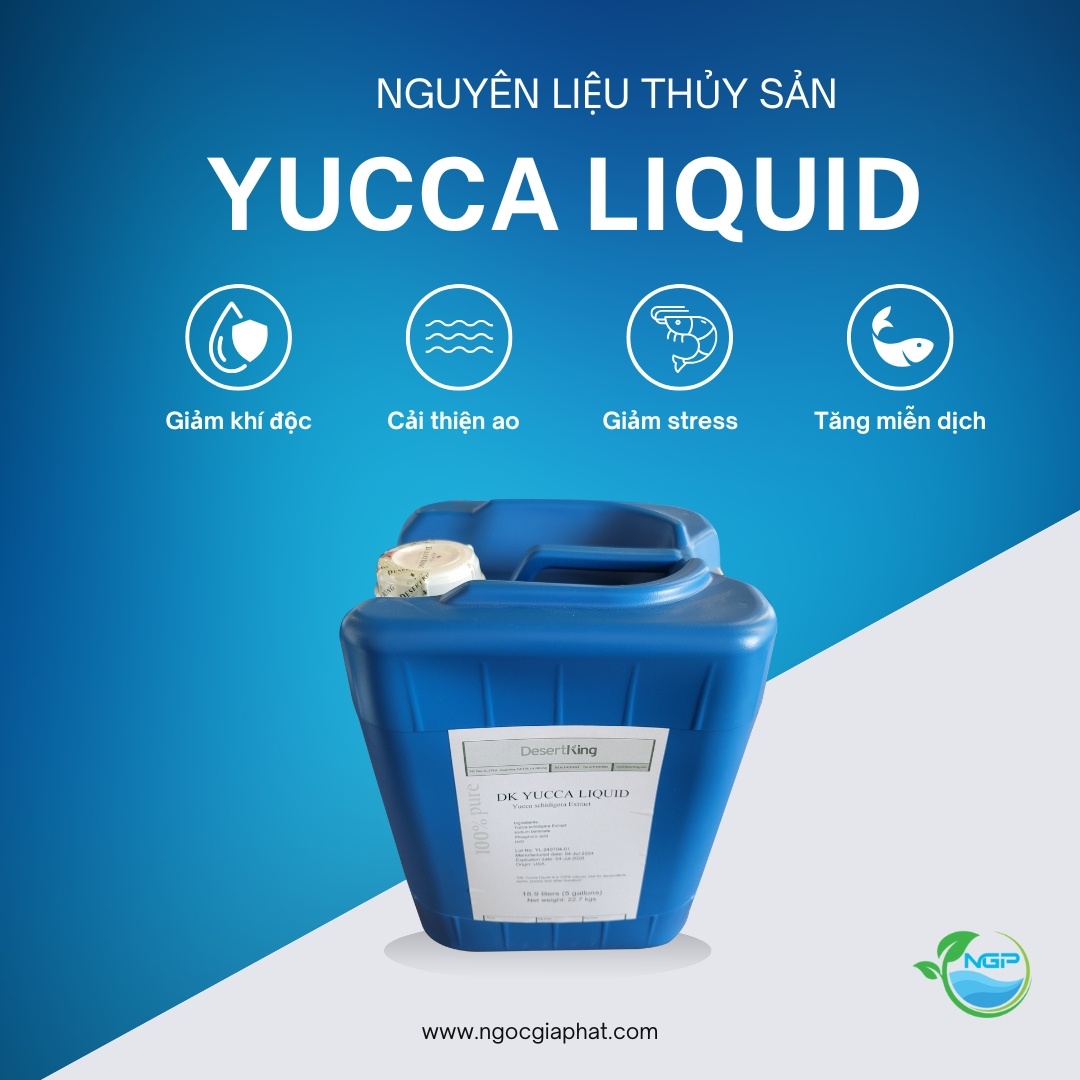 YUCCA LIQUID - yucca nước hấp thu nhanh khí độc, giảm stress cho tôm cá - Ảnh 3