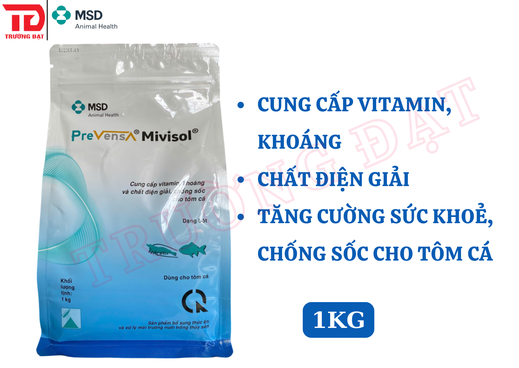 Mivisol - Ảnh 2