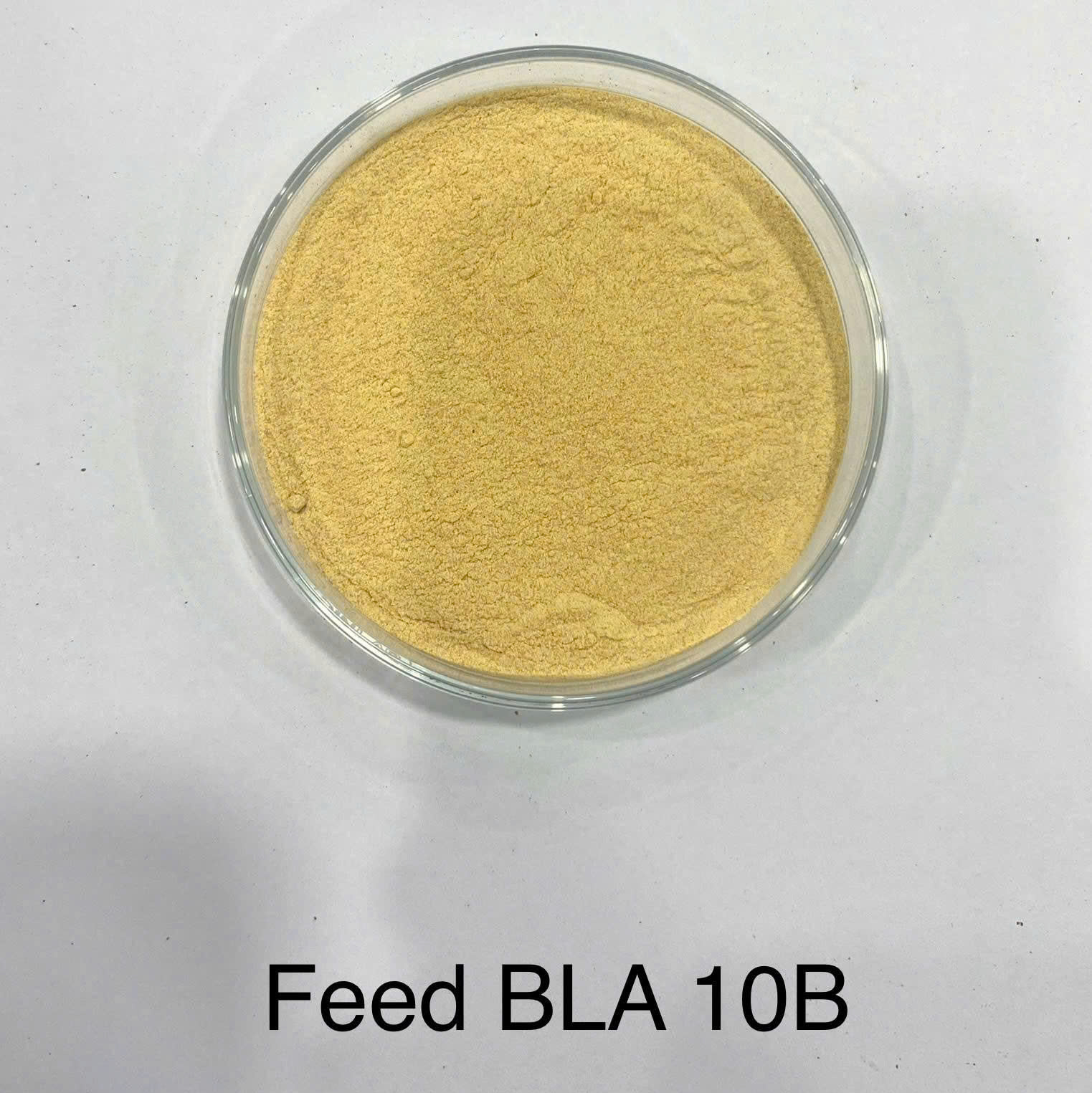FEED BLA 10B - Ảnh 3