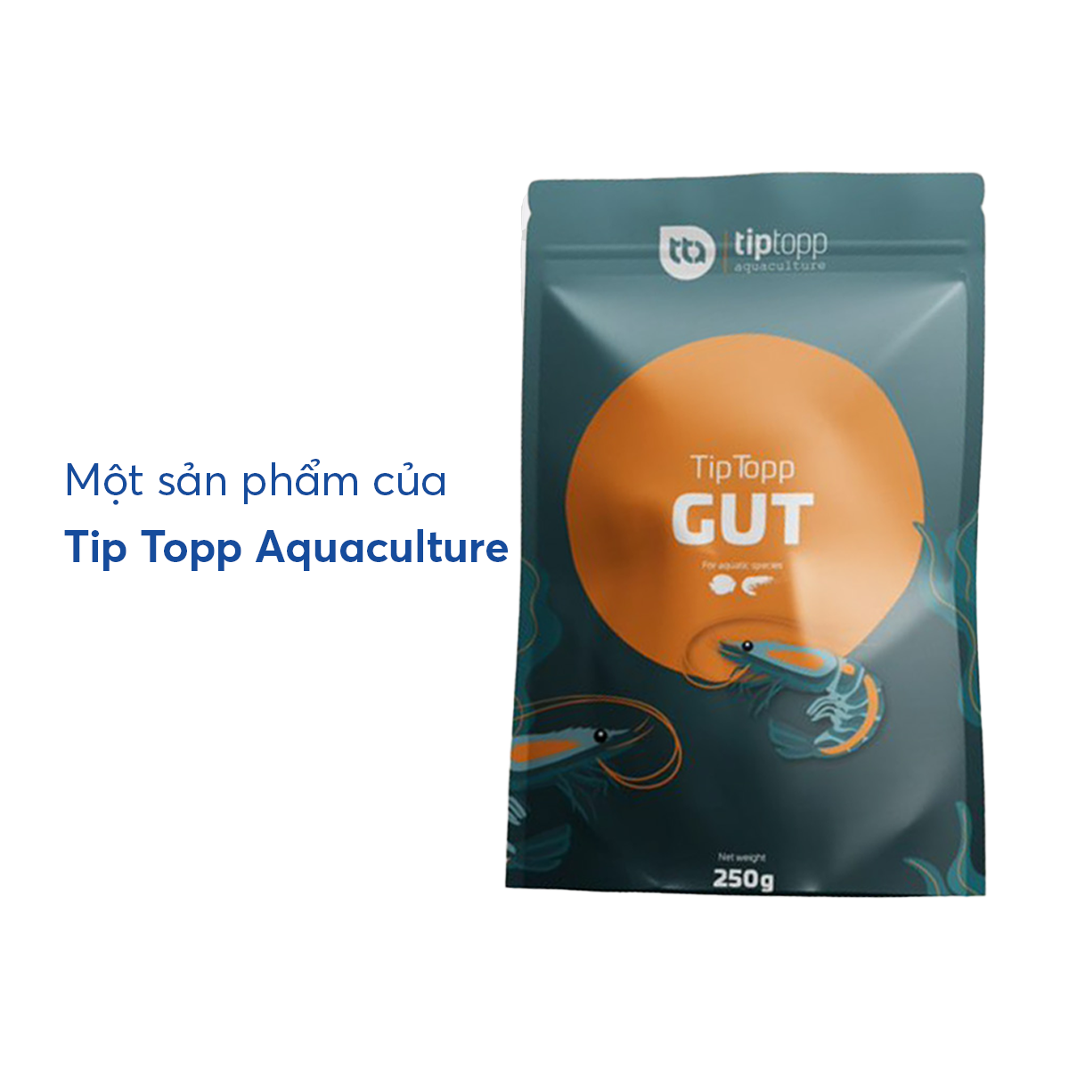 Tip Topp GUT - Ảnh 2