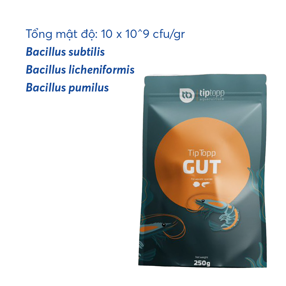 Tip Topp GUT - Ảnh 3