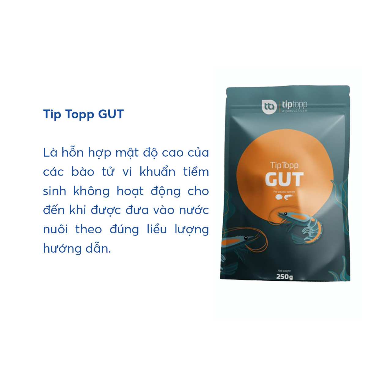 Tip Topp GUT - Ảnh 4