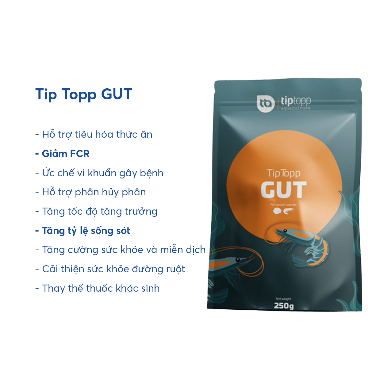 Tip Topp GUT - Ảnh 5