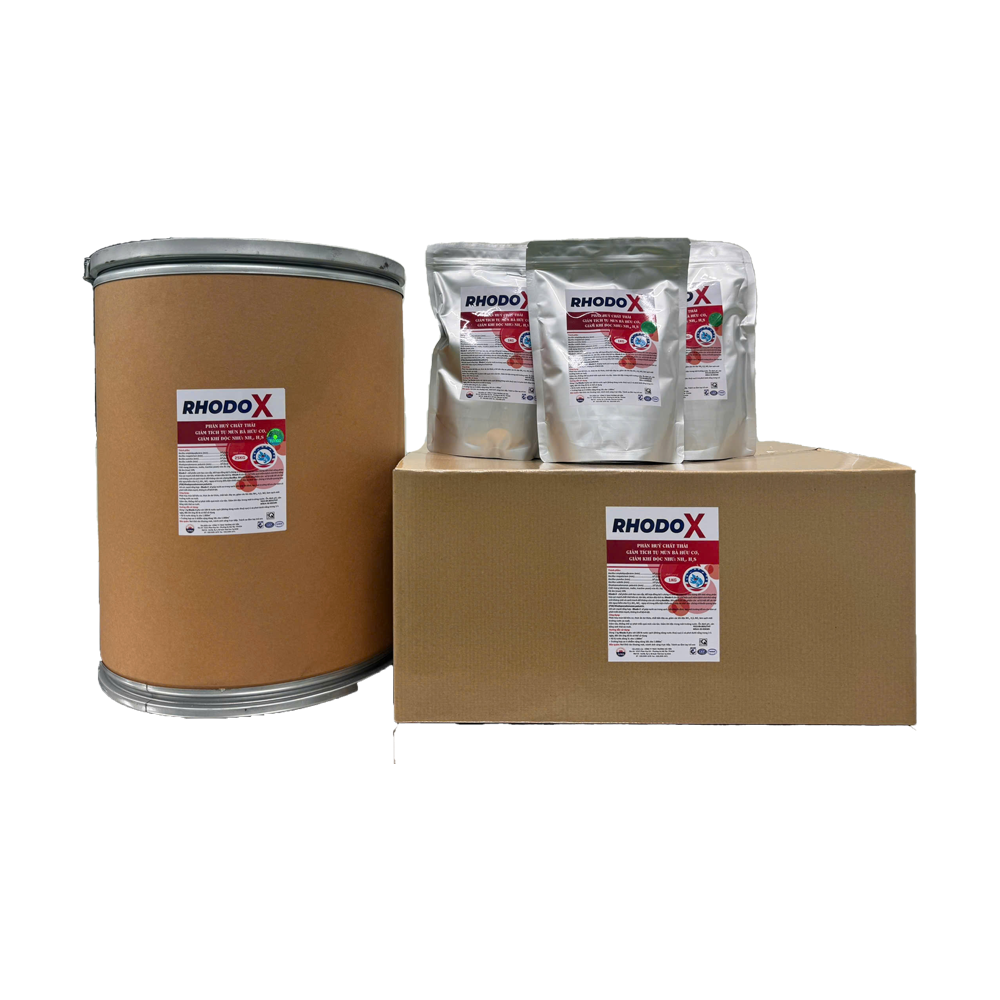 Rhodopseudomonas palustris - Ảnh 4