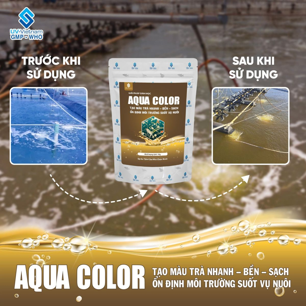 AQUA COLOR - Ảnh 5