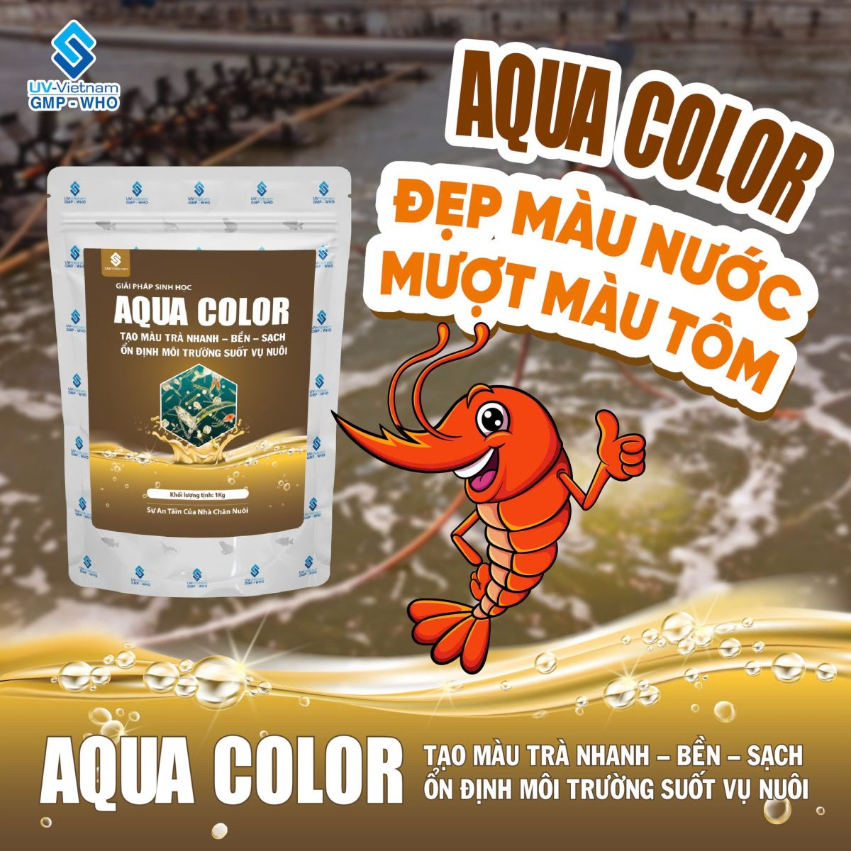 AQUA COLOR - Ảnh 6