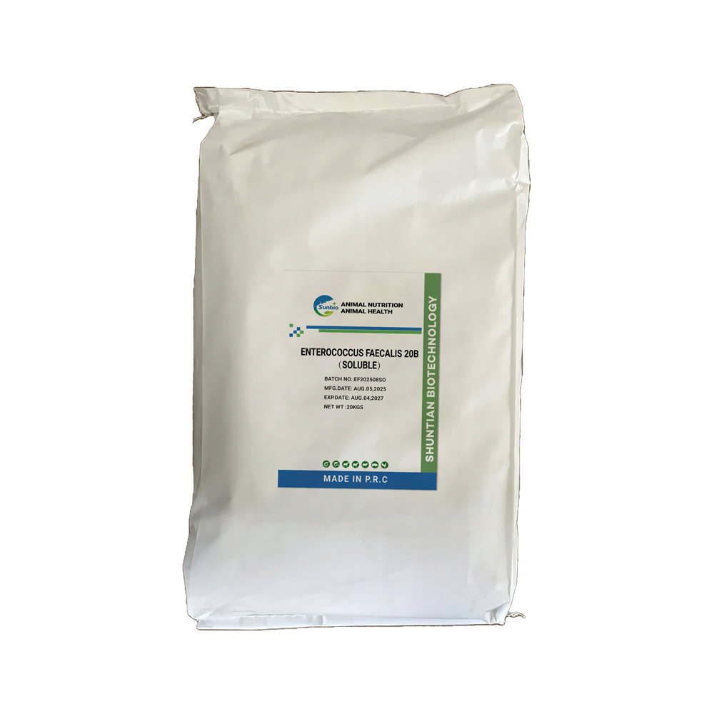 ENTEROCOCCUS FAECALIS 20B (SOLUBLE)