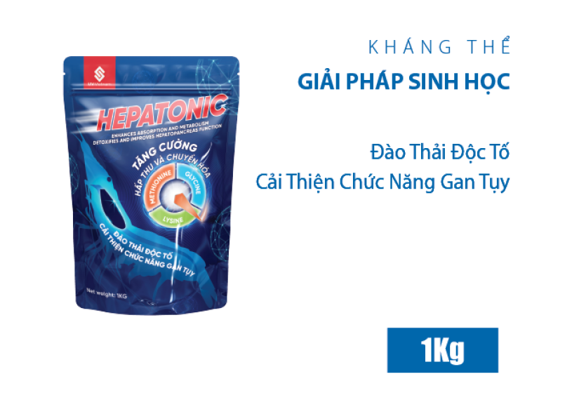 HEPATONIC - Ảnh 5
