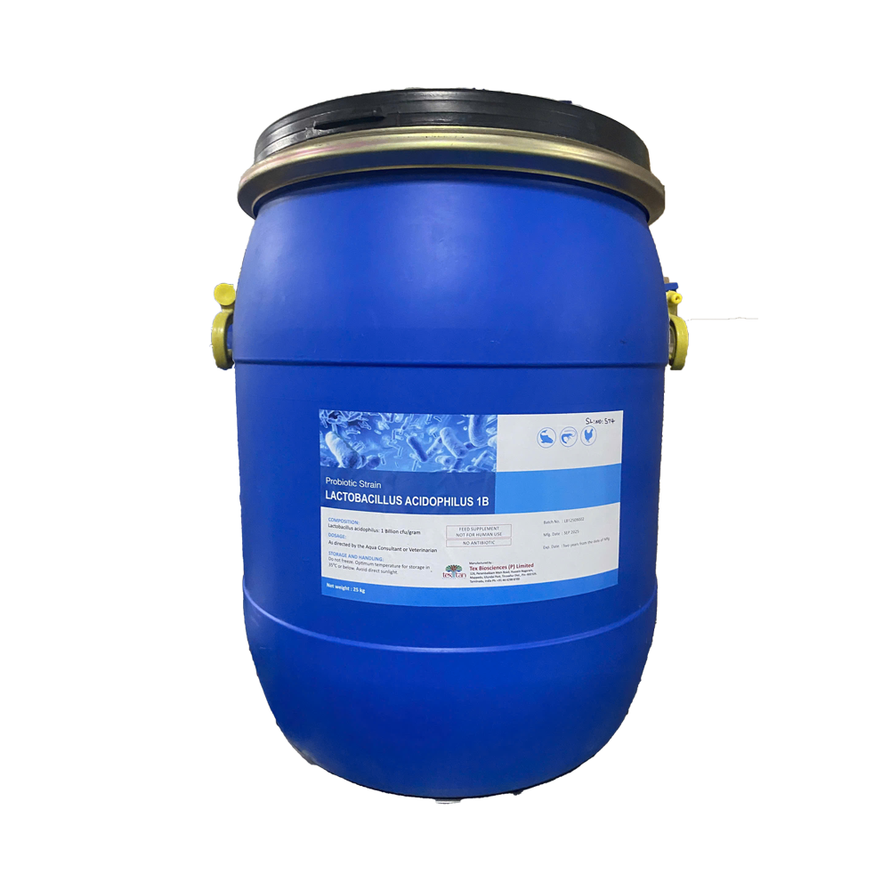 Lactobacillus Acidophilus