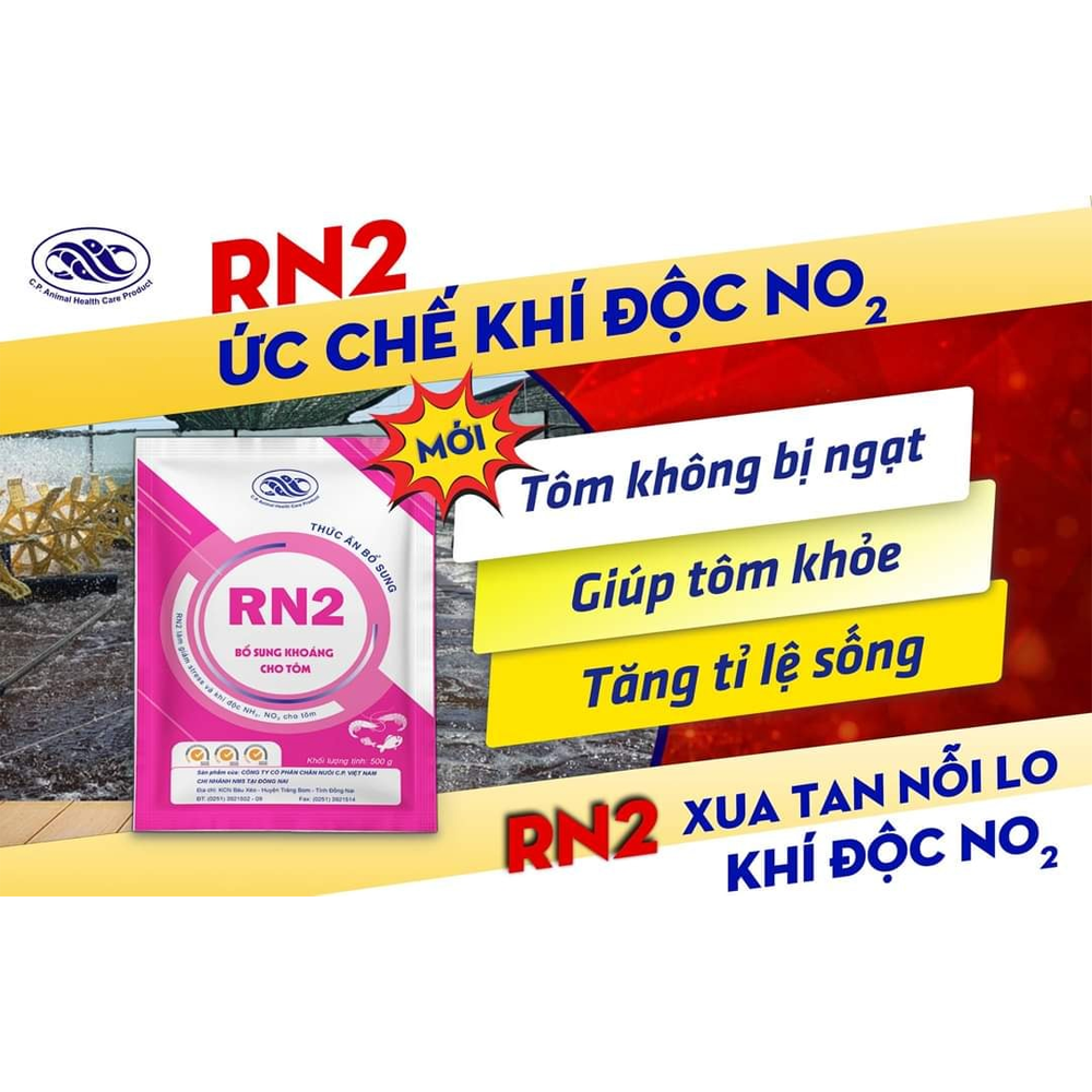 RN2 - Ảnh 2