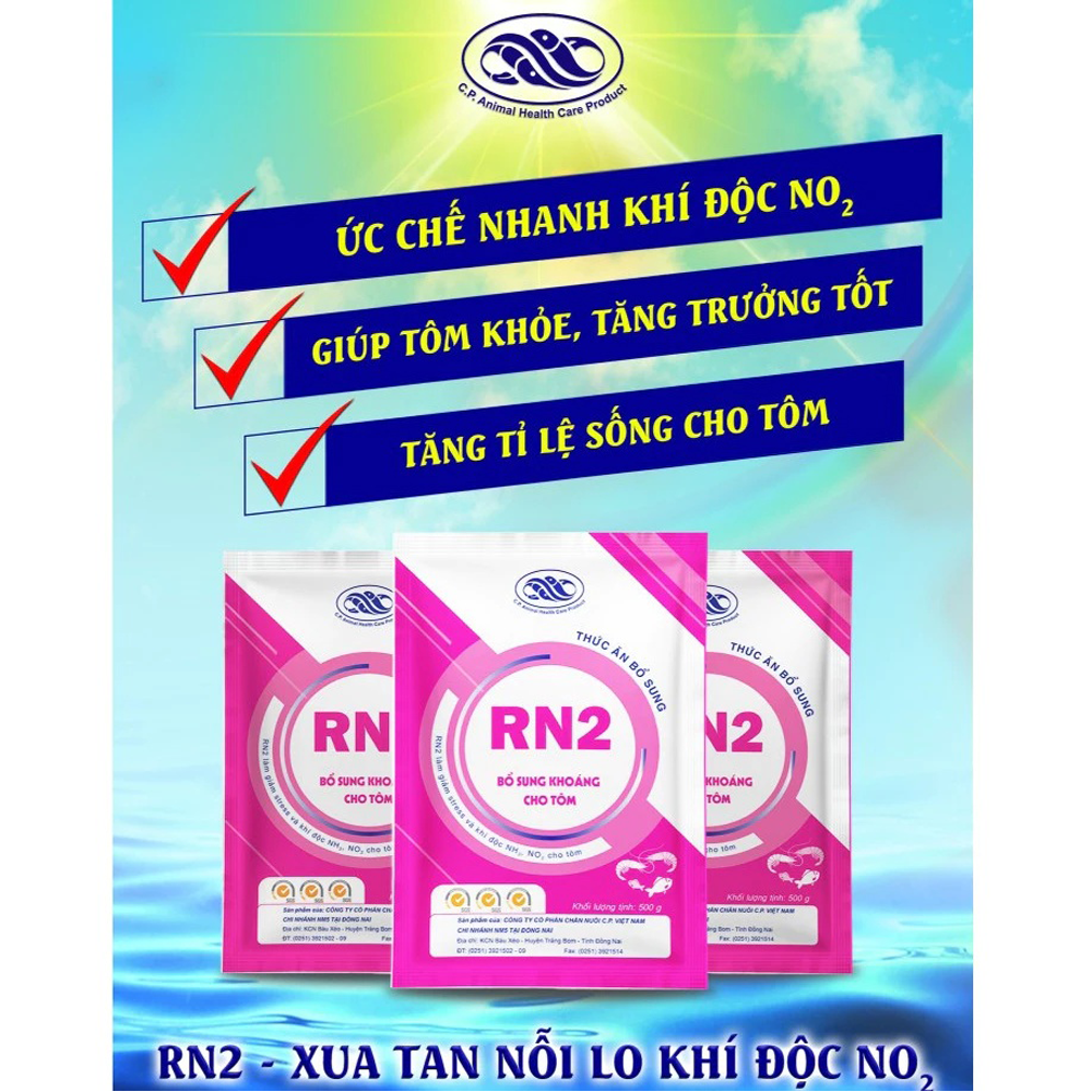 RN2 - Ảnh 3